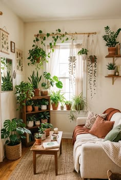Best Indoor plants for a greener and healthier home in 2026 5db7d13da60468a6be226790852af22e