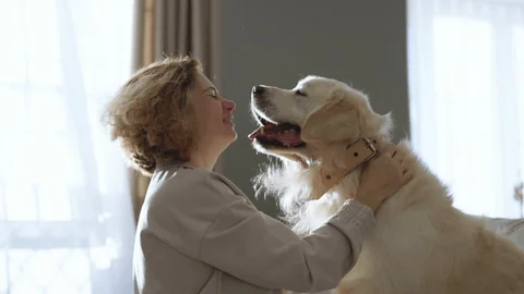 Best pet animals for families and children in 2026 image