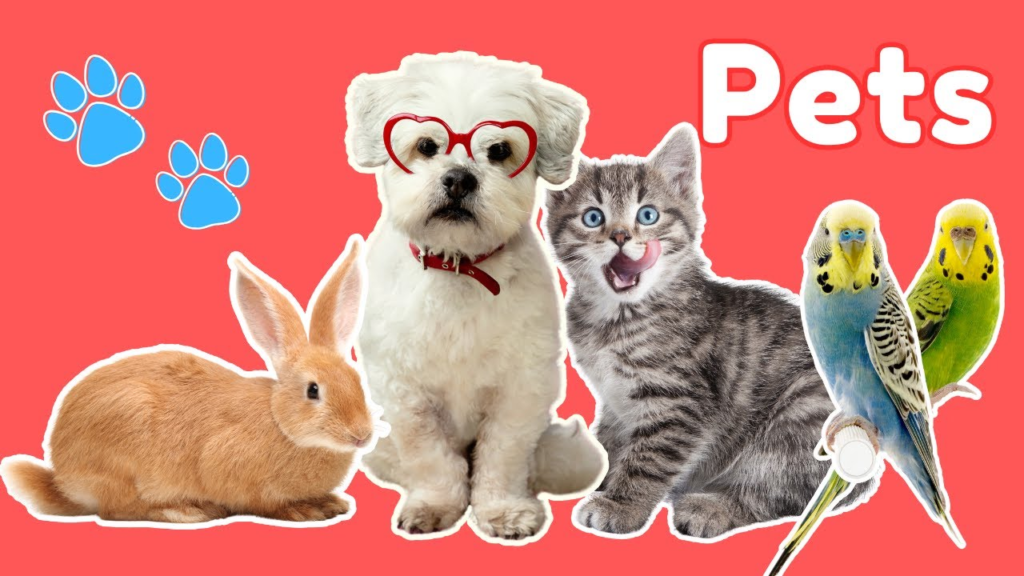 Best pet animals for families and children in 2026 image